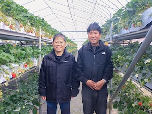 株式会社セイキ 蓄電池等を活用した発電設備の設計・技術支援エンジニア