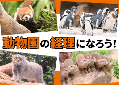 株式会社どうぶつ王国 動物園の経理・総務／月残業20h程／転勤なしの神戸勤務