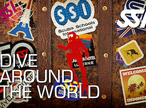 ＨＥＡＤ　Ｊａｐａｎ株式会社 カスタマーサービス／世界的スポーツブランドHEAD