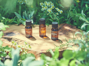 公益社団法人日本アロマ環境協会（AEAJ） アロマテラピー広報・PR／駅徒歩3分・時差出勤あり／土日祝休