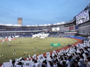 株式会社千葉ロッテマリーンズ スポンサー営業／フルフレックス／スポーツ転職フェアに出展