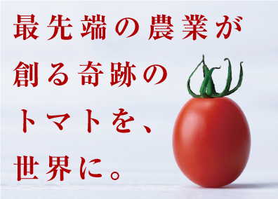 株式会社ＯＳＭＩＣ　ＦＯＯＤＳ（オスミックフーズ） 自社ブランドの提案営業～管理職候補／土日祝休／残業20h以下