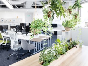 株式会社グッドグリーン(株式会社スマートサプライのグループ会社) 未経験歓迎／観葉植物のルート配送・メンテナンス／年休125日