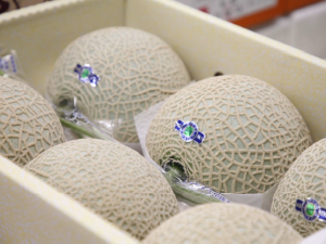 株式会社天果 果物の配送・仕分け／未経験でも月給27万円／完休2日制