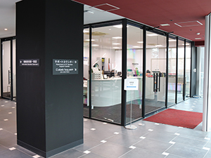 国立大学法人大阪大学 大阪大学の校内SE的業務・情報企画全般／新卒・未経験者可