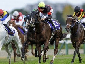 追分ファーム 競走馬牧場のメンテナンススタッフ／残業ほぼなし／食堂・寮あり