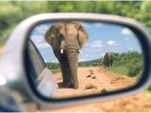 株式会社Ｅｎｈａｎｃｅ　Ａｕｔｏ 海外営業／アフリカ市場を開拓／年1～2回海外出張／未経験歓迎