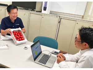 ぐんま県央青果株式会社(R＆Cホールディングスグループ) 農産物を中心としたルート営業／未経験歓迎／正社員／賞与年2回