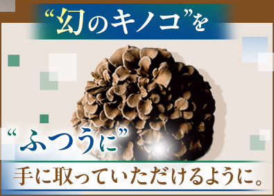 株式会社大平きのこ研究所(タイヘイグループ) 食品メーカーの企画営業／大手取引先多数／土日休み