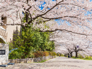 株式会社毎日コムネット【スタンダード市場】 高付加価値学生マンションの反響営業／完週休2日／年休120日