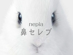 王子ネピア株式会社(王子グループ) 製造スタッフ／賞与4ヵ月分／1年目から年収400万円可