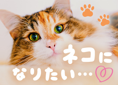 パーソルテンプスタッフ株式会社「funtable（ファンタブル）」(パーソルグループ) ネコのように働ける事務／リモート有・基本定時退社・土日休み