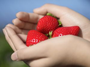 公益財団法人佐賀県産業振興機構 さが県産品流通デザイン公社 販売支援専門員（海外担当）／年休121日／残業月平均10h