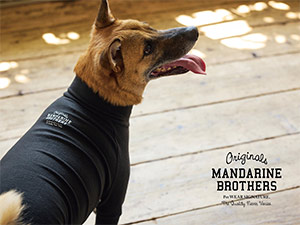 株式会社ＣＨＯＣＯ ブランド販促デザイナー／ペットアパレル広告・販促物／土日祝休