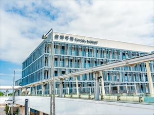 天慶ジャパン株式会社 鮮魚の仕入れ／未経験から豊洲プロバイヤーへ！年収430万円～