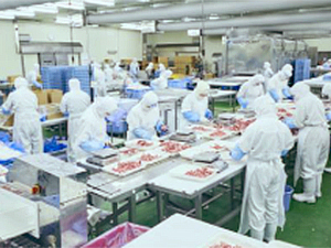 ファーストチョイス株式会社(ハニューフーズグループ) 食肉加工製品の製造管理／年休120日／賞与実績3.7ヵ月分