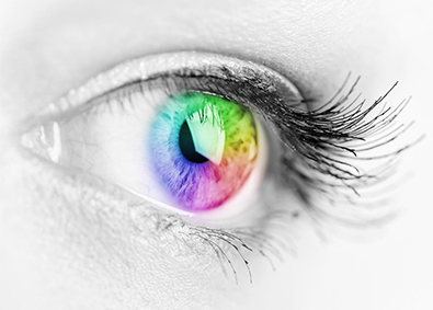 株式会社村上色彩技術研究所 色彩測定機器の製造・設計技術者