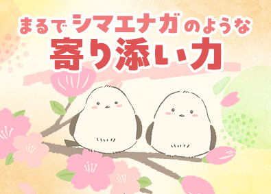 株式会社マイナビワークス（マイナビキャリレーション事務局） 事務アシスタント／未経験歓迎／賞与年2回／専任のアドバイザー