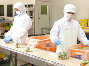 タイヘイ株式会社 未経験可／製造職／月給35万円～／年休123日／昼食補助あり