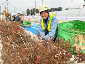 田中園緑化土木株式会社 未経験から始める平日勤務の樹木管理アシスタントスタッフ