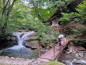 飛騨五木ホールディングス株式会社(飛騨五木グループ) 地域創生の営業サポート／未経験歓迎で月給35万円～／土日祝休