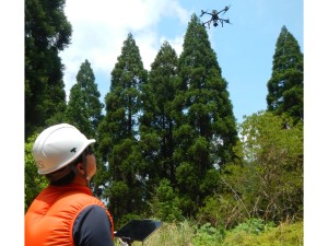 宮崎県森林組合連合会 組合職員（総合職）／未経験歓迎／残業月10h／賞与6カ月分