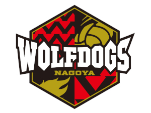 ＴＧ　ＳＰＯＲＴＳ株式会社(豊田合成株式会社100％出資企業) ウルフドッグス名古屋の法人スポンサー営業／土日休／リモート可