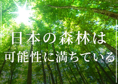日建リース工業株式会社 マーケティング兼企画兼営業／森林産業の活性化を目指す新規事業
