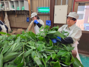 株式会社大和生物研究所 医薬品製造スタッフ／未経験歓迎／16時15分終業・残業ほぼ無