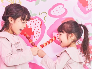 ＧＯＯＤ　ＩＤＥＡ　ＣＯＭＰＡＮＹ株式会社(ICHIGOグループ) ブランド開発・商品企画開発／事業成長を牽引する責任者候補