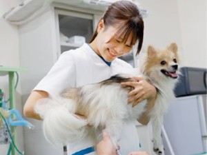 学校法人２１世紀アカデメイア 愛玩動物看護学科の常勤教員／教員経験は不要／年間休日121日