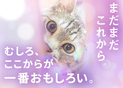 株式会社リクルートスタッフィング(リクルートグループ) 事務プロジェクトのリーダー／未経験歓迎／土日祝休／ブランク可