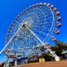 日本モンキーパーク/先輩スタッフ