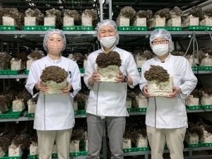 株式会社大平きのこ研究所 「黒舞茸」工場の製造管理職／年収600万円以上／業界経験不問