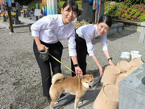 有限会社大昭プロジェクト（ひらかた動物霊園） ペット霊園運営／幹部候補・月給31万円／動物好きが集まる会社
