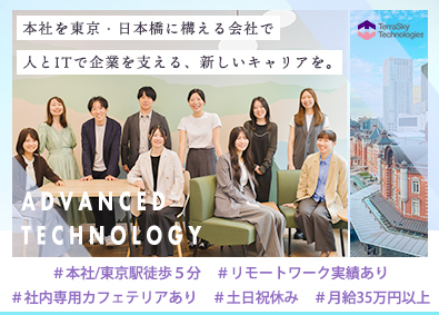株式会社テラスカイ・テクノロジーズ(テラスカイグループ) 人とITで企業を支援する法人営業／月給35万円／日本橋