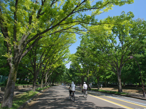 公益財団法人東京都公園協会 都立公園の調査・設計・工事・維持管理／年休126日／転勤なし