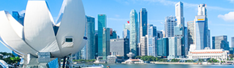 アジア6エリアの転職・生活基本情報と働く魅力　～シンガポール、マレーシア、タイ、ベトナム、フィリピン、中国～ MV