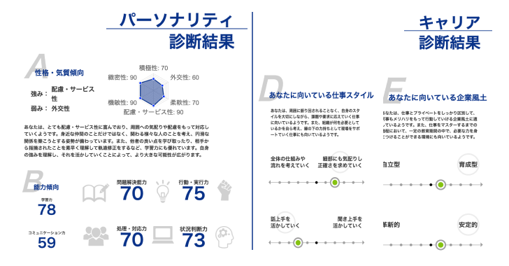 キャリアタイプ診断結果イメージ