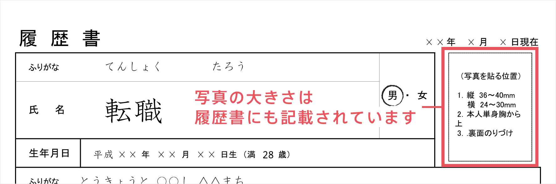 履歴書の写真のサイズは何センチ 大きさが違う写真を撮ってしまった場合は 転職q A 履歴書 職務経歴書 転職ならdoda デューダ