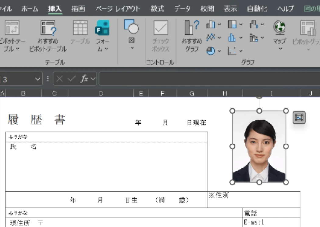 Excel履歴書の正しい貼りつけ手順2