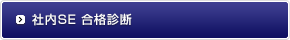 社内SE 合格診断