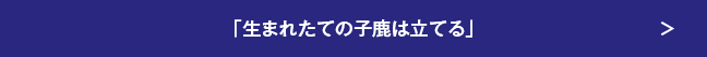 「生まれたての子鹿は立てる」