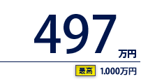 497万円（最高　1,000万円）