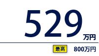 529万円（最高　800万円）