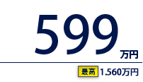 599万円（最高　1,560万円）