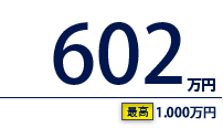 602万円（最高　1,000万円）