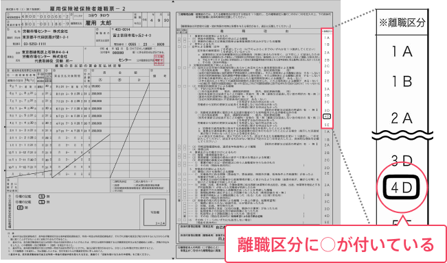 「離職票ー2」での離職区分の確認方法/画像