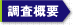 調査概要