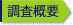 調査概要